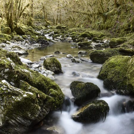 petite amazonie des pyrénées