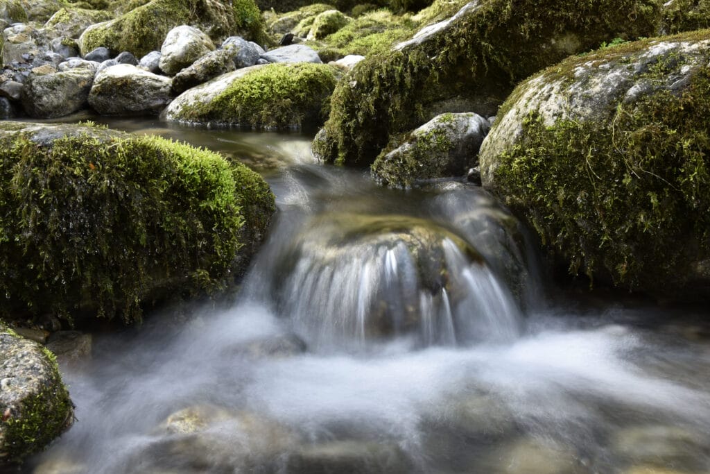 Gourgue d'Asque-Petite Amazonie des Pyrénées-Hautes-Pyrénées-Crédit OTcP